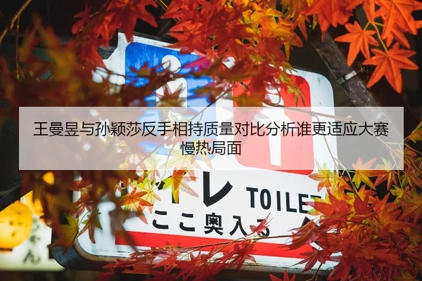 王曼昱与孙颖莎反手相持质量对比分析谁更适应大赛慢热局面