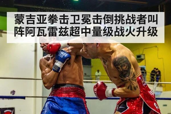 boxer knockout punch